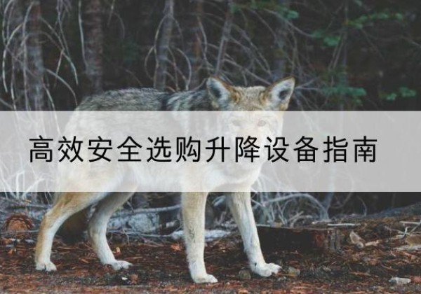 乌当升降货梯厂家推荐-*安全选购升降设备指南