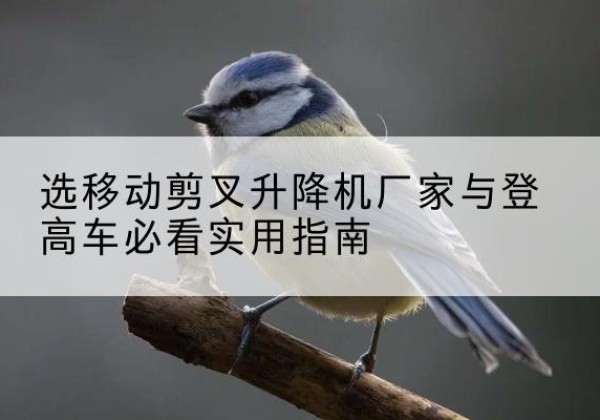 乌当电动升降机厂家-选移动剪叉升降机厂家与登高车必看实用指南